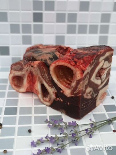 Мечта питомца