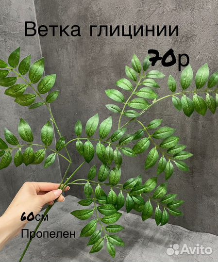 Ветка фикуса,оливы,березы,эвкалипта,рускуса