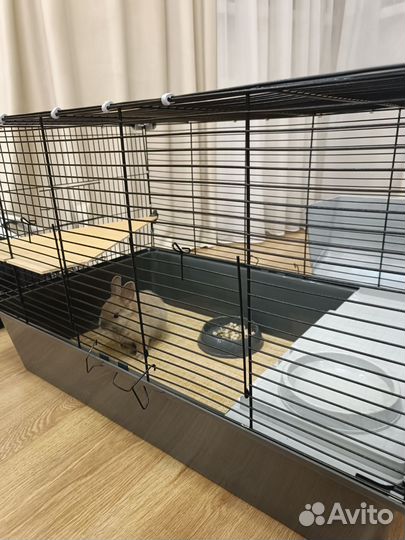 Декоративный кролик с клеткой