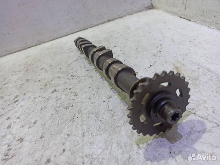 Распредвал выпускной 11311710900