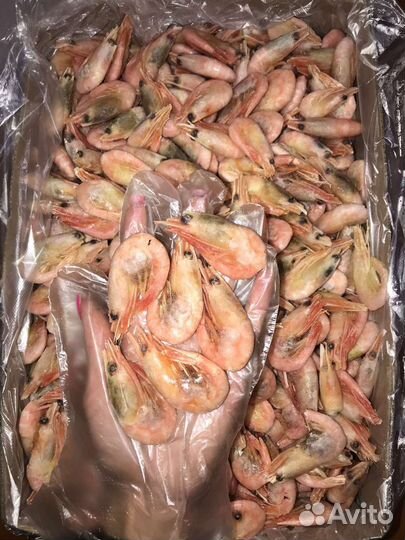 Креветки северные 70-90