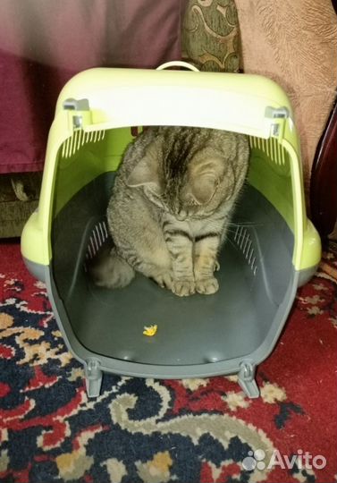 Переноска для кошек и собак