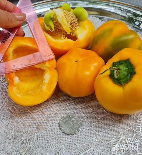 Семена сортовых перцев