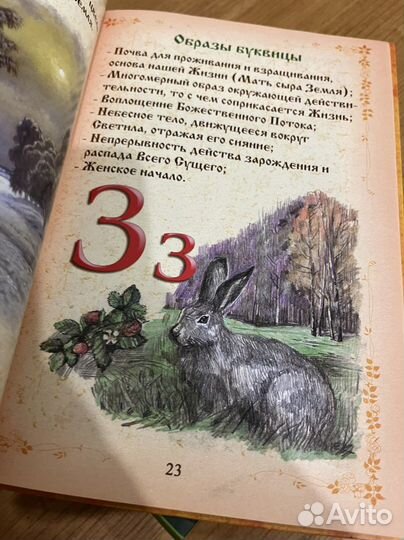 Буквица Древне- словянские образы письма