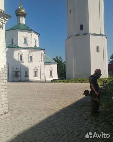 Обрезка деревьев, перекопка огорода, чистка снега