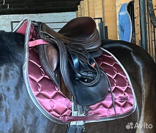 Вальтрап eskadron