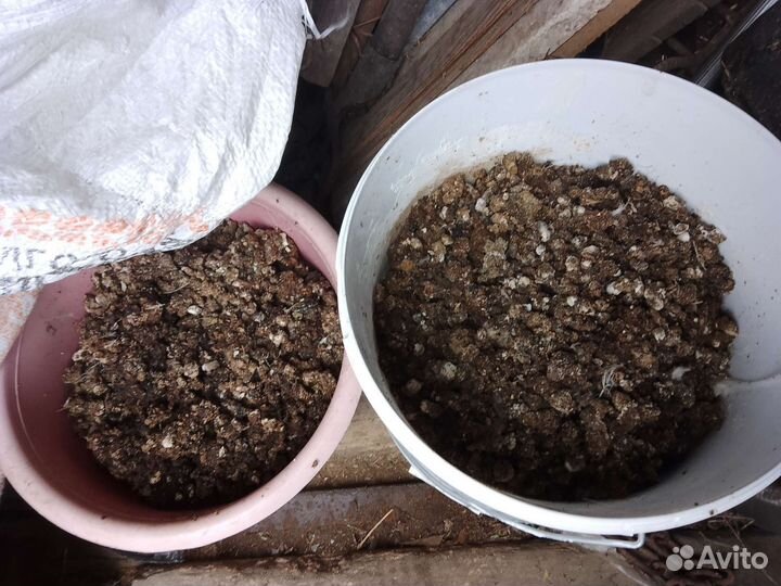 Куриный помет