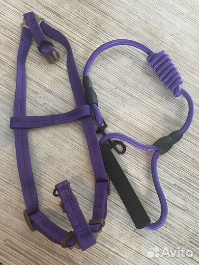 Поводок и шлейка для собаки