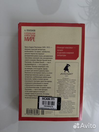 В прекрасном яростном мире А. Платонов