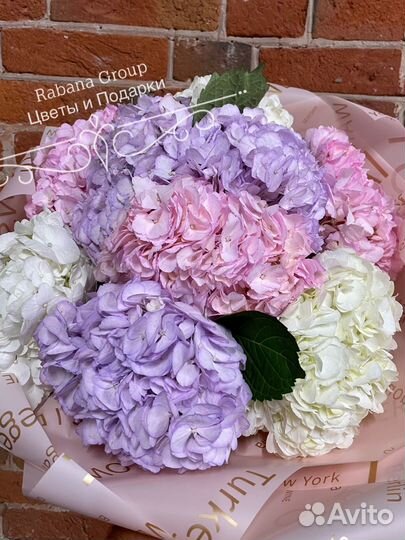Гортензии с доставкой. Цветы гортензии