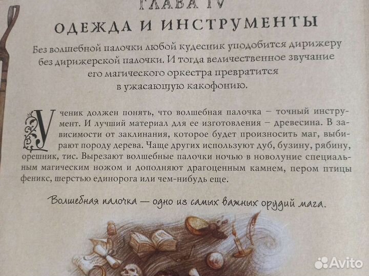 Волшебная палочка бузина