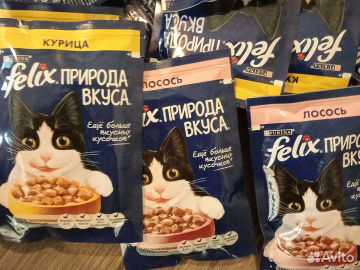 Влажный корм для кошек