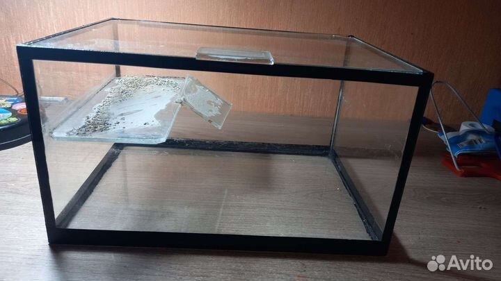 Аквариум для красноухой черепахи