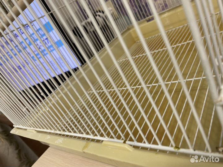 Клетка для попугая