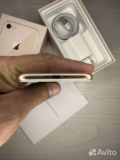 iPhone 8
