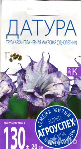 Агроуспех Датура Труба Архангела черная махровая 3