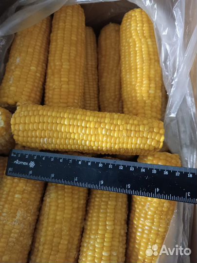 Зерно из Кукурузы замороженная