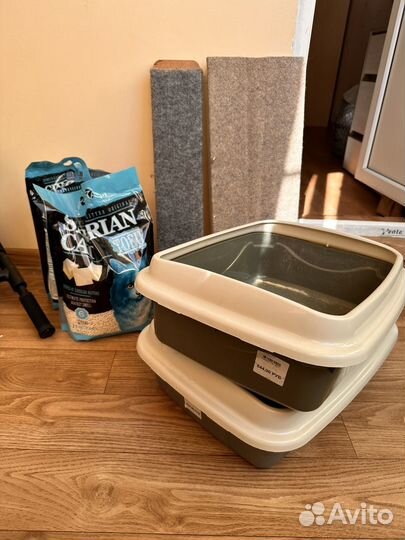 Лоток, когтеточка, наполнитель для туалета