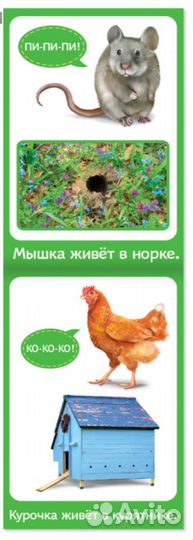 Книги развивающие набор,Растем вместе