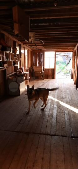 Дом 100 м² на участке 20 сот.