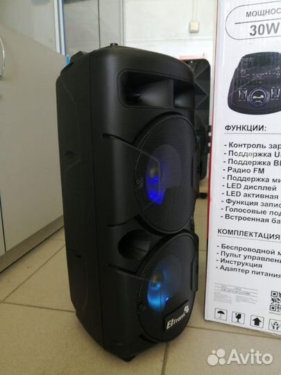 Колонка Eltronic 10-21