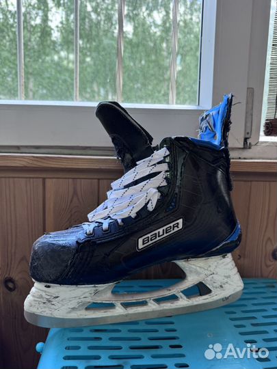 Коньки хоккейные bauer nexus 1N