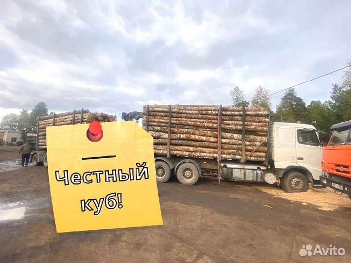 Дрова