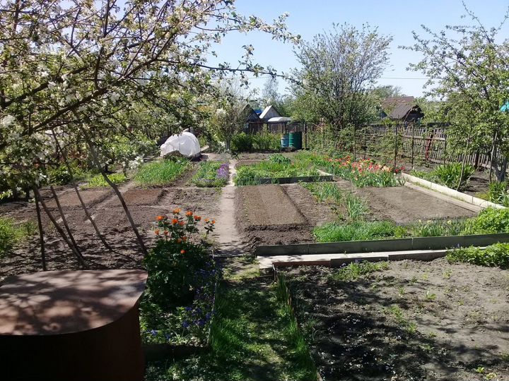 Участок 3,7 сот. (СНТ, ДНП)