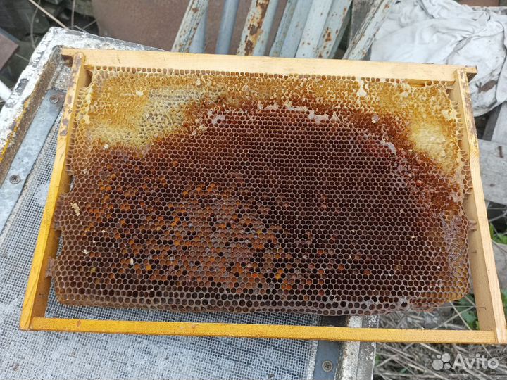 Рамка сушь для пчел