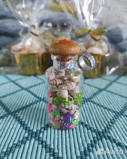 Набор из натуральных морских ракушек