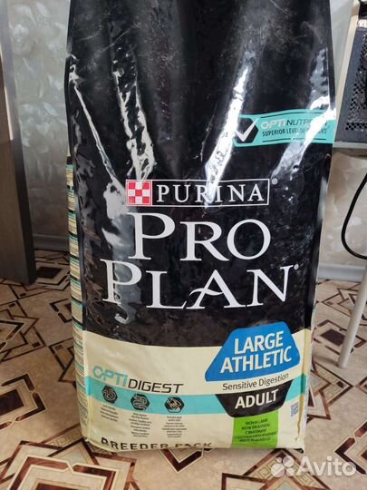 Корм про план для крупных пород