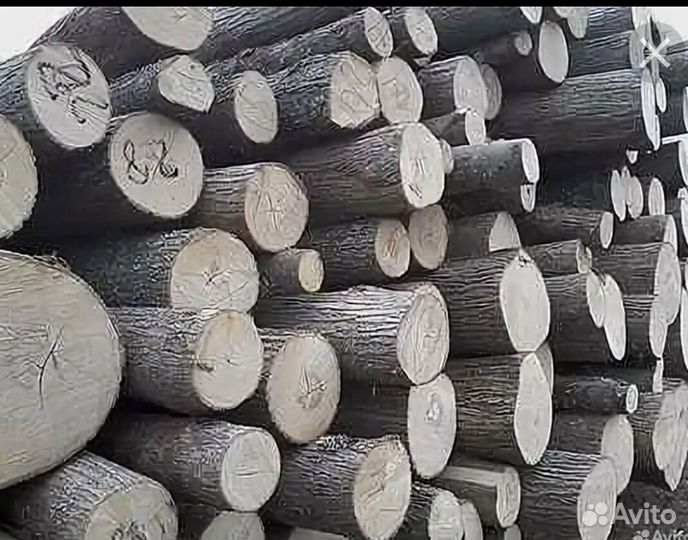 Лес кругляк пиловочник. Приобретаем