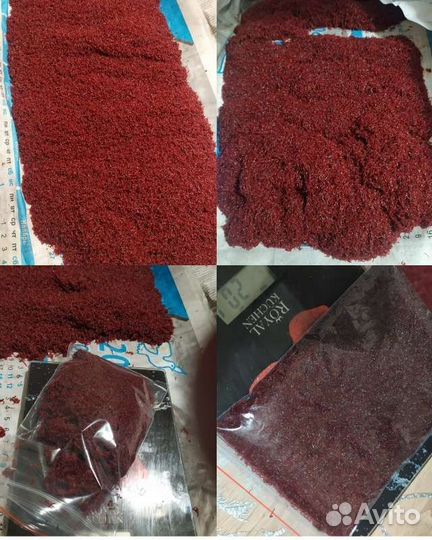 Аквариумные рыбки, мотыль, аулофорус, креветки