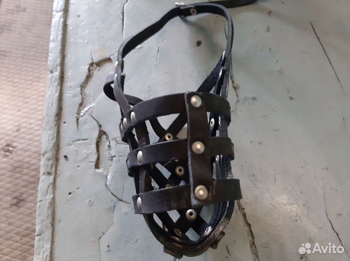 Намордник для собаки