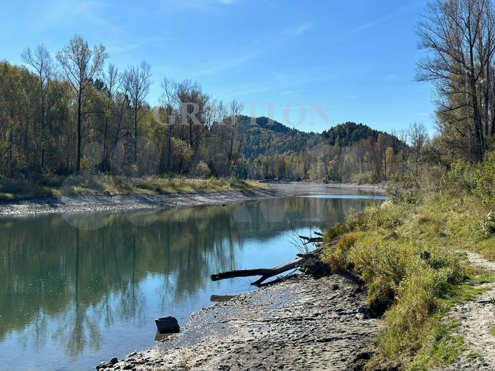 Участок 1,14 га (личное подсобное хозяйство (лпх))