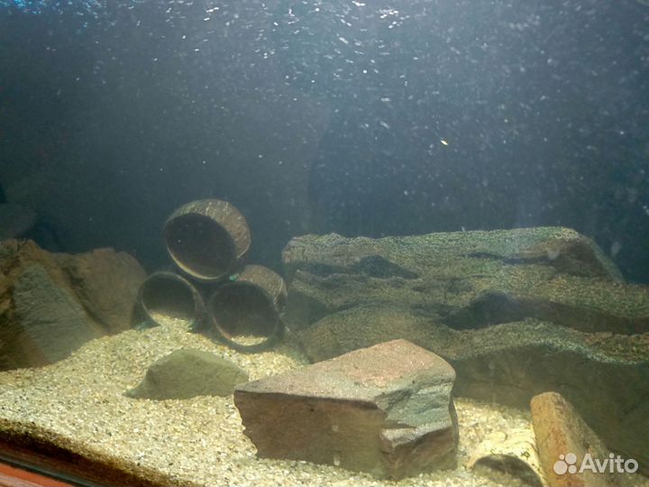 Аквариум с тумбой 160 л