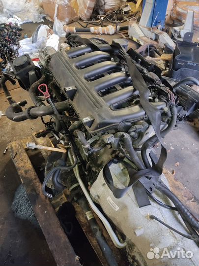 Контрактный двигатель 306d2 дизель bmw x5 e53