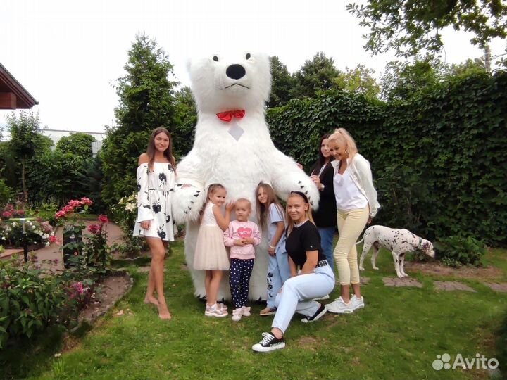 Белый Мишка Поздравления «Снежок»На праздники