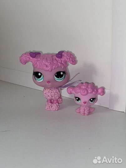 Littlest Pet Shop