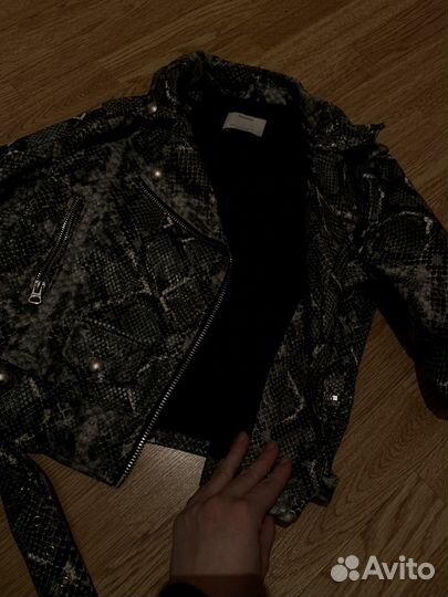 Коженка укороченная