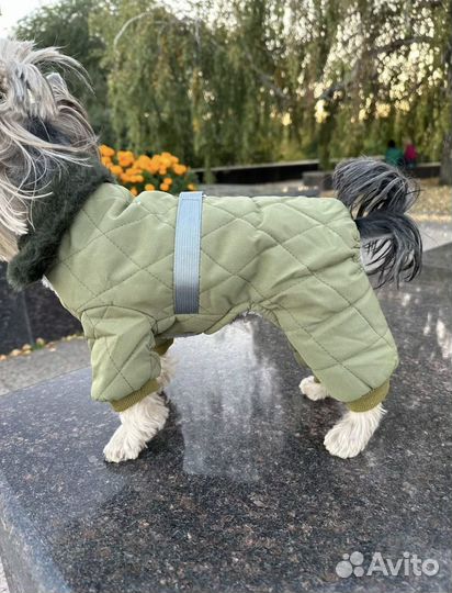 Одежда для собак мелких пород