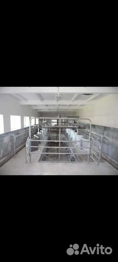 Доильный зал 