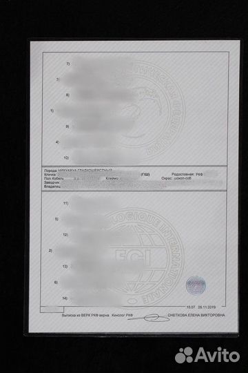 Документы РКФ