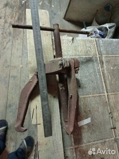 Съёмки трёх лапный