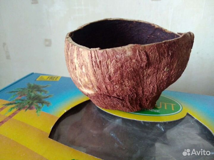 Чашка из кокоса самодельная