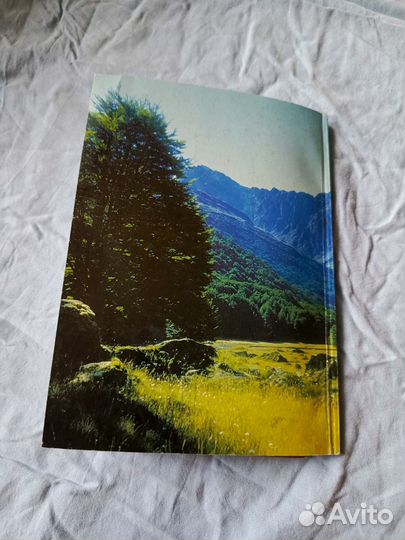 Святитель Лука. Дух, тело, душа