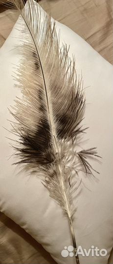 Страусиное перо