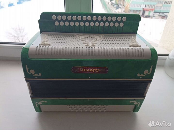 Гармонь Беларусь 29-25