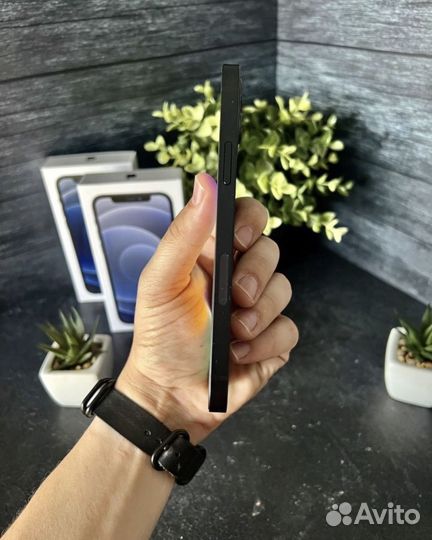 iPhone 12, 256 ГБ
