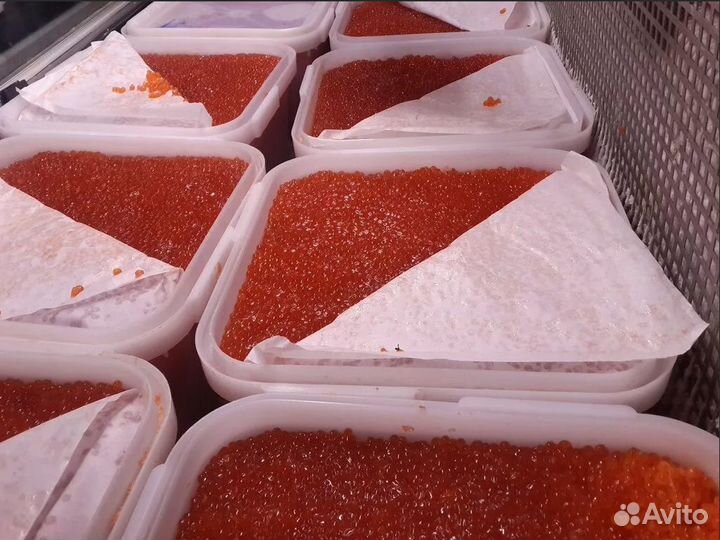 Икра горбуши 2023 Опт